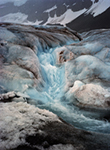 Columbia Ice Field Canada