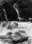 North Fork Provo River Utah