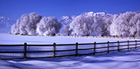 Timpanogos Hoar Frost